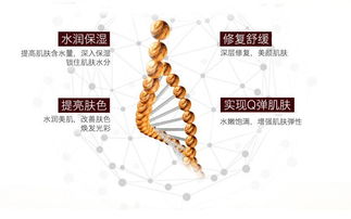 時(shí)光姬銀耳光學(xué)水潤面膜,可以吃的面膜